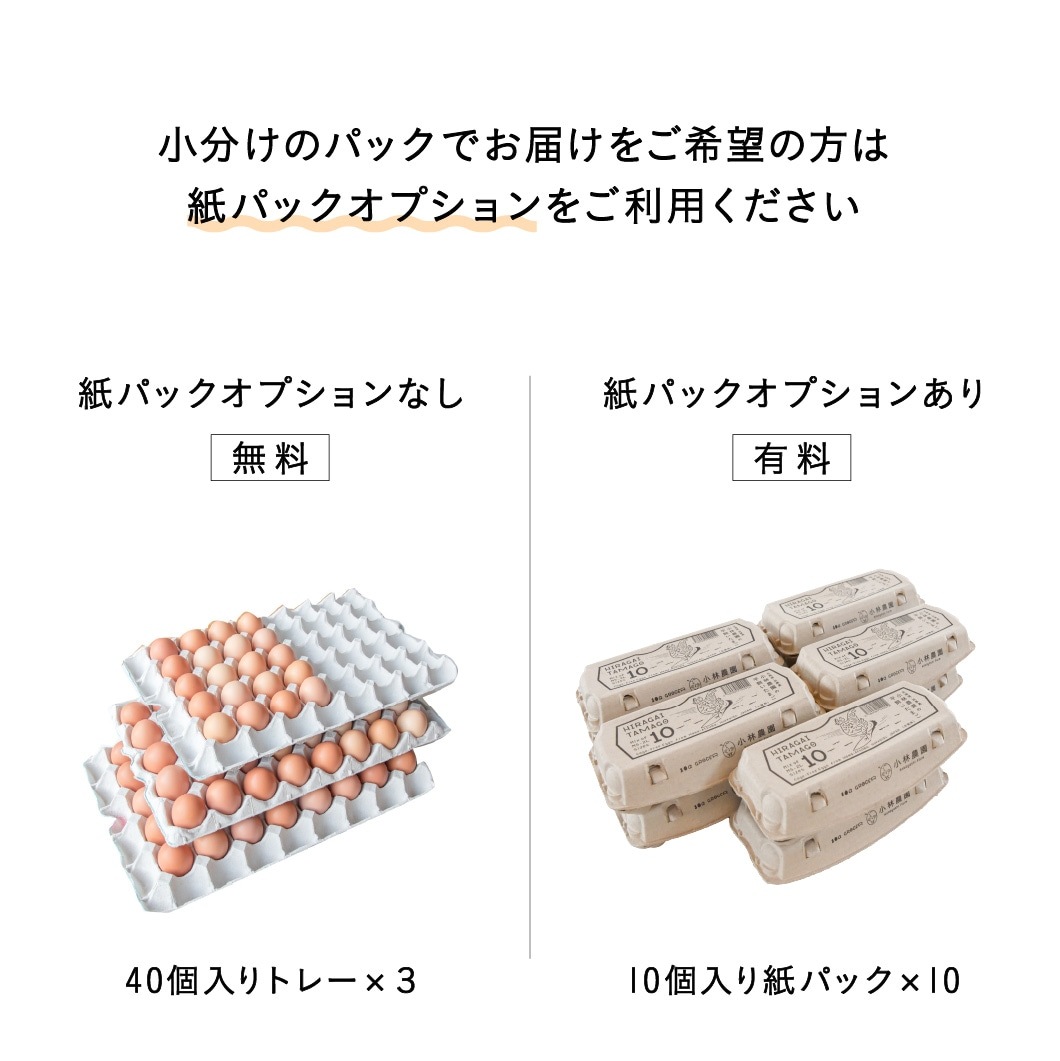 オーガニック平飼い有精卵100個