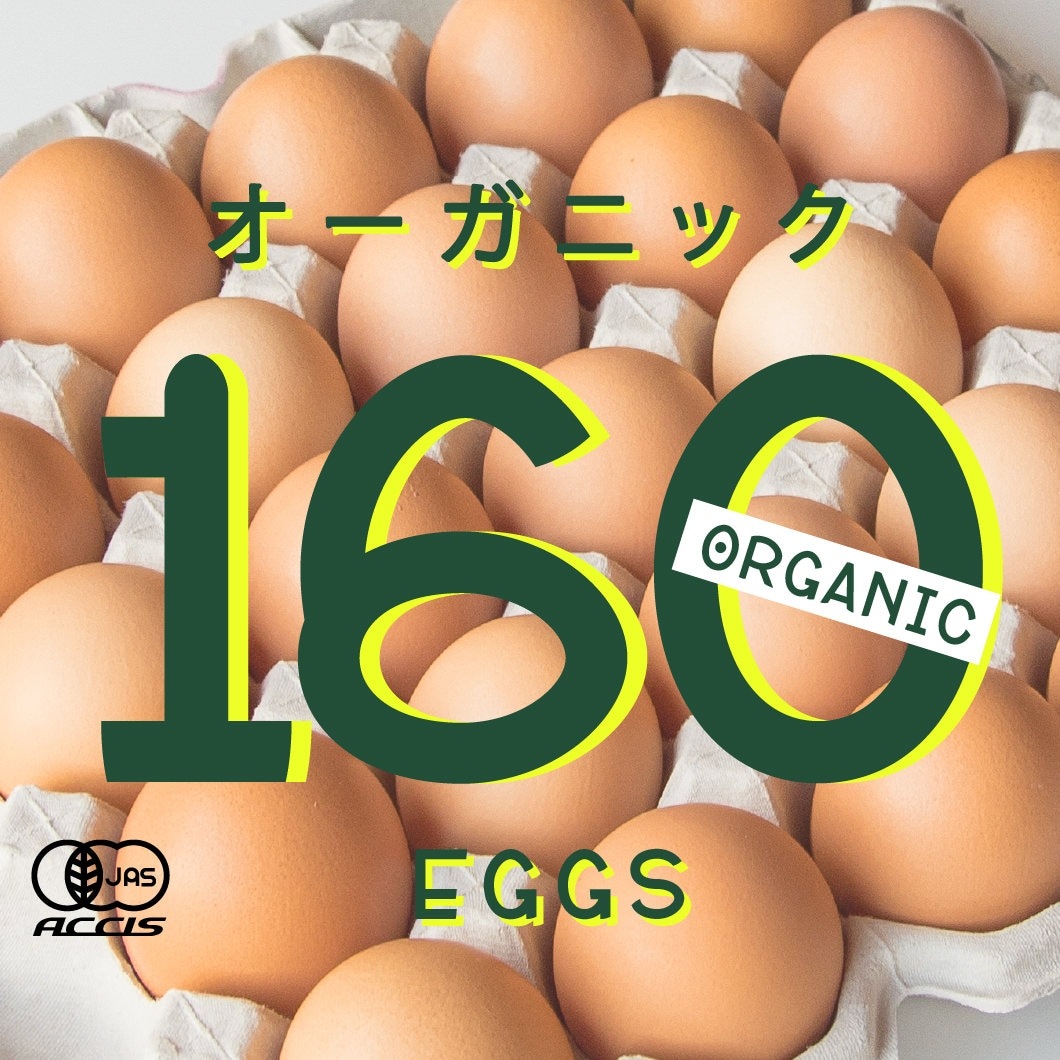 オーガニック平飼い有精卵160個