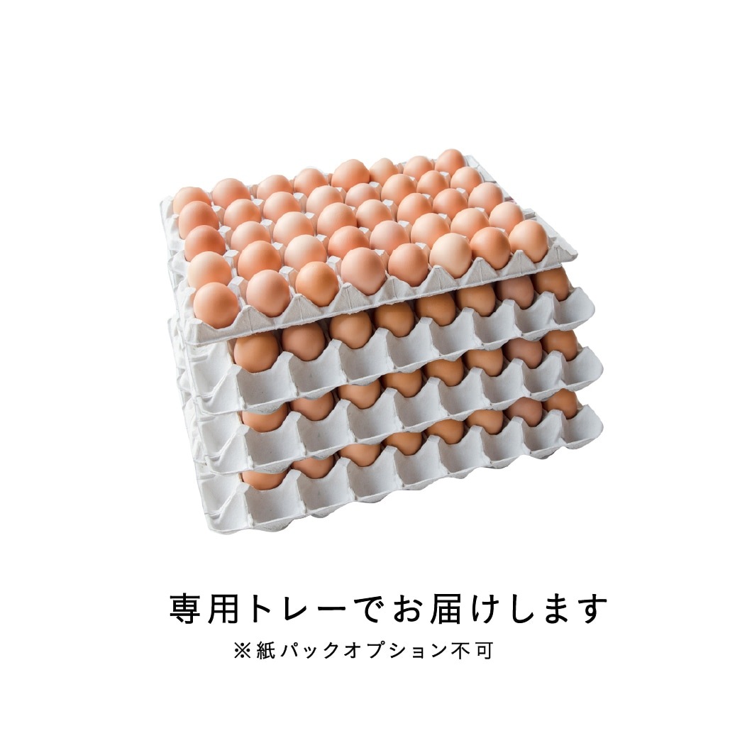 オーガニック平飼い有精卵160個