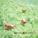 オーガニック平飼い有精卵160個