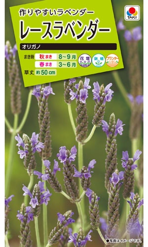 タキイ NL200 レースラベンダー オリガノ 小袋[FSZB35]【取り寄せ注文】※春のみ商品【2026年春種予約商品】 
