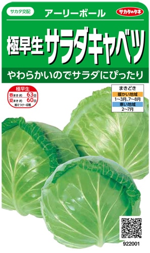 サカタのタネ キャベツ種子 アーリーボール【取り寄せ注文】※通年商品