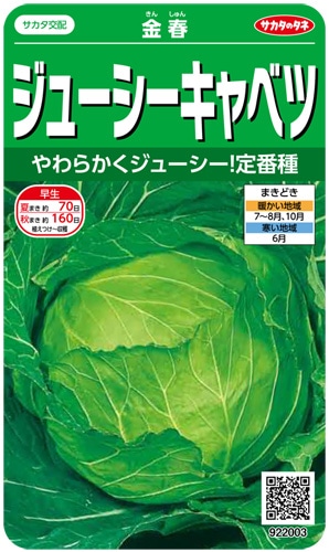 サカタのタネ キャベツ種子 金春【取り寄せ注文】※通年商品＊種子有効期限2026年5月末