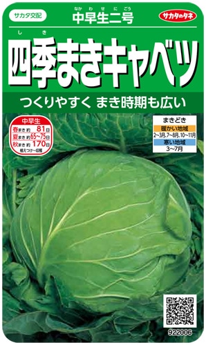 サカタのタネ キャベツ種子 中早生二号【取り寄せ注文】※通年商品