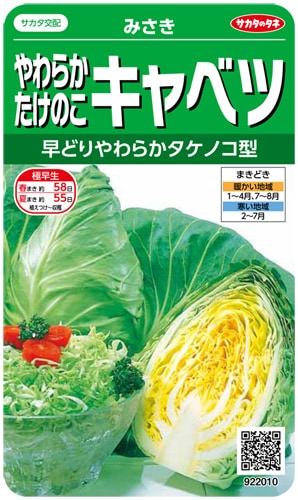 サカタのタネ キャベツ種子 みさき【取り寄せ注文】※通年商品