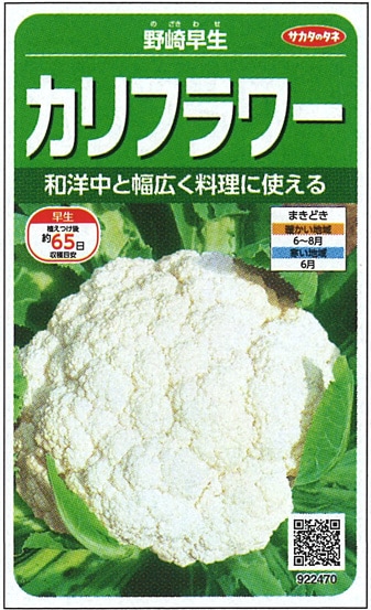 サカタのタネ カリフラワー種子 野崎早生 実咲小袋[922470]【取り寄せ注文】※通年商品