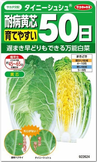 サカタのタネ ハクサイ種子 耐病黄芯50日 タイニーシュシュ( ゆめいろハクサイ)【取り寄せ注文】＊種子有効期限2025年9月末