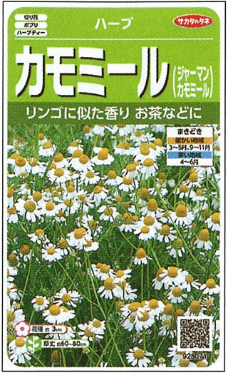 サカタのタネ ハーブ種子 カモミール(ジャーマンカモミール) 実咲小袋