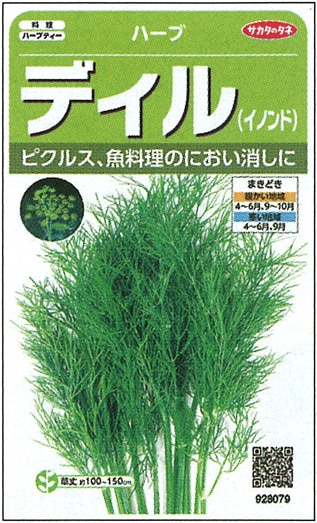 サカタのタネ ハーブ種子 ディル（イノンド） 実咲小袋[928079]【取り寄せ注文】※通年商品＊種子有効期限2026年10月末 | 小林種苗公式通販