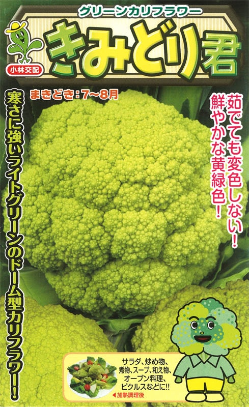 小林種苗 カリフラワー種子 きみどり君＊種子有効期限2026年5月末