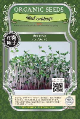 GFP[A164]赤キャベツスプラウト(12g)【有機種子・固定種】＊種子有効期限2026年5月末