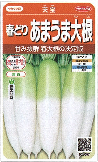 サカタのタネ ダイコン種子 天宝【取り寄せ注文】※通年商品＊種子有効