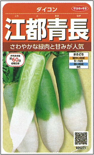 サカタのタネ 中国大根種子 江都青長【取り寄せ注文】＊秋のみ商品