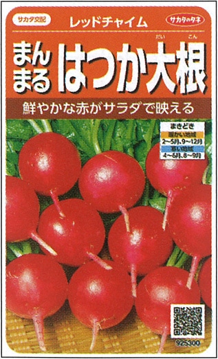 サカタのタネ　ハツカダイコン種子　レッドチャイム【取り寄せ注文】＊種子有効期限2024年9月末