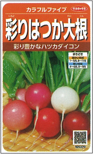 サカタのタネ　ハツカダイコン種子　カラフルファイブ【取り寄せ注文】