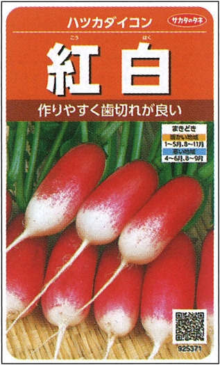 サカタのタネ ハツカダイコン種子 紅白【取り寄せ注文】＊種子有効期限2025年10月末