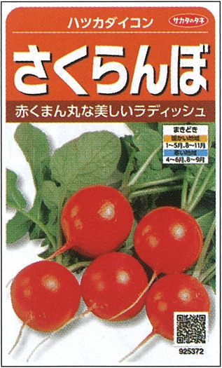 サカタのタネ　ハツカダイコン種子　さくらんぼ【取り寄せ注文】【2025年秋種予約商品】