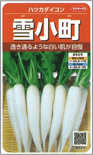 サカタのタネ　ハツカダイコン種子　雪小町【取り寄せ注文】＊2024秋品薄【2025年秋種予約商品】
