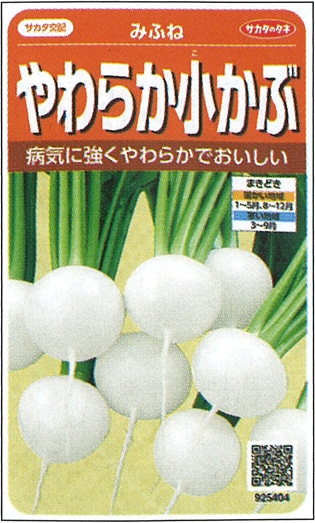 サカタのタネ カブ種子 みふね【取り寄せ注文】※通年商品