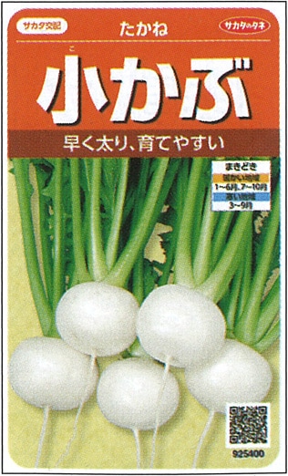 サカタのタネ カブ種子 たかね【取り寄せ注文】※通年商品