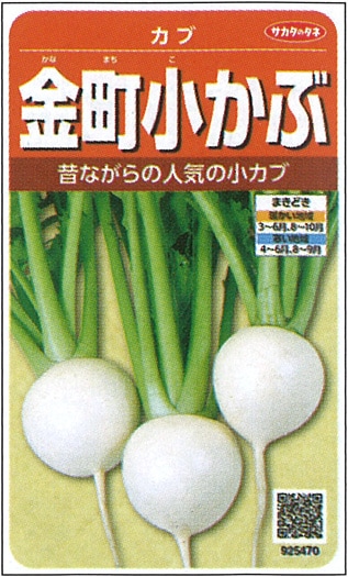 サカタのタネ カブ種子 金町小かぶ 実咲小袋[925470]【取り寄せ注文】※通年商品