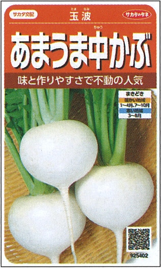 サカタのタネ カブ種子 玉波【取り寄せ注文】※通年商品