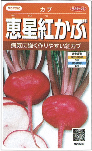 サカタのタネ カブ種子 恵星紅【取り寄せ注文】＊種子有効期限2026年5月末