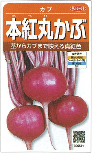 サカタのタネ カブ種子 本紅丸かぶ 実咲小袋[925571]【取り寄せ注文】※通年商品