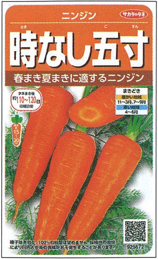 サカタのタネ ニンジン種子 時なし五寸【取り寄せ注文】※通年商品