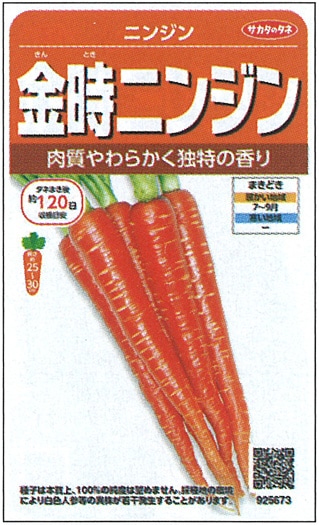 サカタのタネ ニンジン種子 金時ニンジン 実咲小袋[925673]【取り寄せ