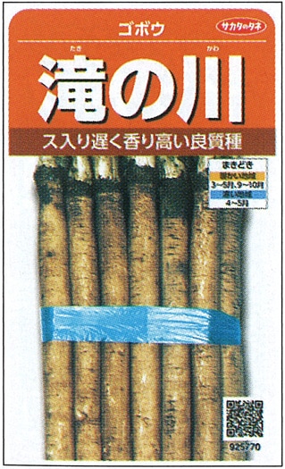 サカタのタネ　ゴボウ種子　滝の川　実咲小袋[925770]【取り寄せ注文】