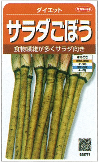サカタのタネ　ゴボウ種子　ダイエット【取り寄せ注文】 *種子有効期限2025年10月末