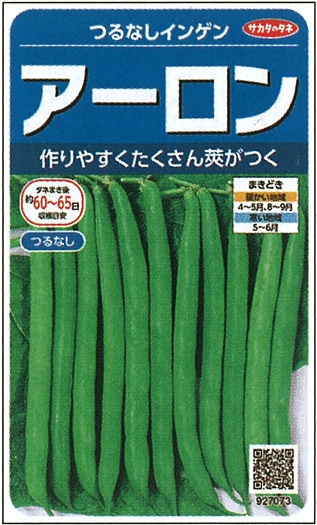 サカタのタネ　インゲン種子　アーロン(つるなし）【取り寄せ注文】＊種子有効期限2024年10月末