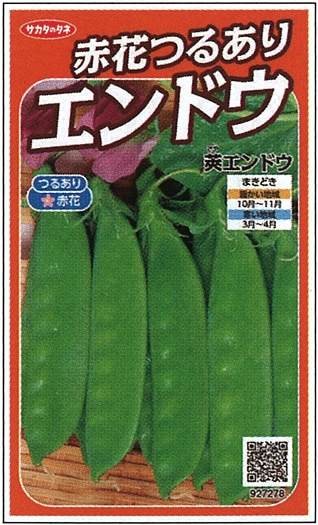 サカタのタネ エンドウ種子 赤花つるあり莢エンドウ 実咲小袋[927278]【取り寄せ注文】＊秋のみ商品