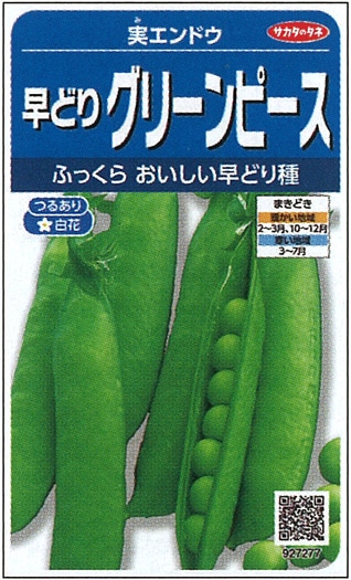 サカタのタネ エンドウ種子 早どりグリーンピース 実咲小袋[927277]【取り寄せ注文】※通年商品