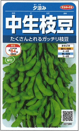 サカタのタネ エダマメ種子 夕涼み【取り寄せ注文】＊種子有効期限2025年10月末※春のみの商品