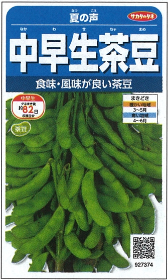 サカタのタネ　エダマメ種子　夏の声【取り寄せ注文】※春のみの商品