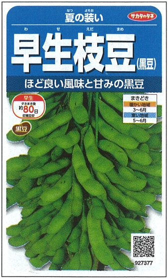 サカタのタネ　エダマメ種子　夏の装い【取り寄せ注文】※春のみの商品