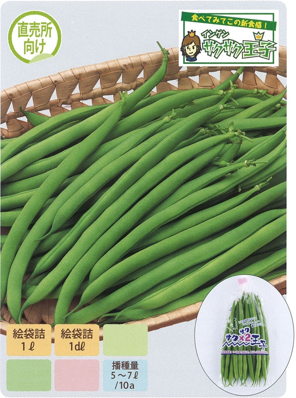 サカタのタネ インゲン種子 サクサク王子ネオ(つるなし)[093170]【取り寄せ注文】※2025年秋品切れ