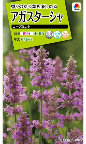 タキイ NL200　アガスターシャ　ローズミント　小袋[FATA03]【取り寄せ注文】※春のみの商品
