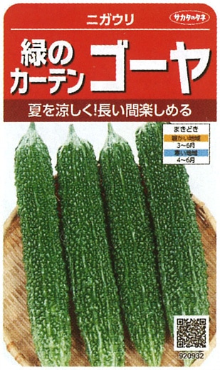 サカタのタネ　ニガウリ種子　緑のカーテンゴーヤ　実咲小袋[920932］【取り寄せ注文】※春のみの商品