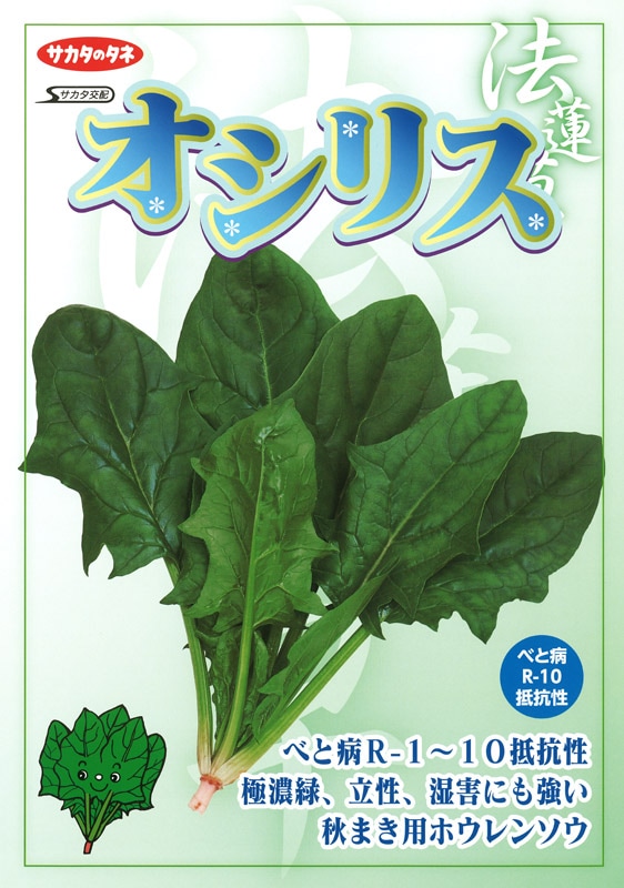 サカタのタネ ホウレンソウ種子 オシリス【取り寄せ注文】＊秋のみ商品＊種子有効期限2026年5月末