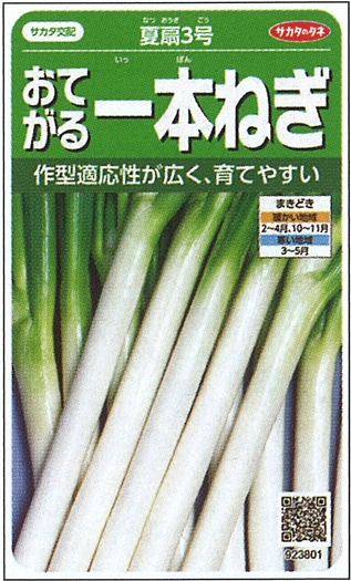 サカタのタネ　ネギ種子　夏扇3号【取り寄せ注文】