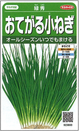 サカタのタネ ネギ種子 緑秀【取り寄せ注文】※通年商品 | 小林種苗公式通販