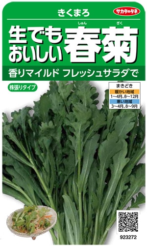 サカタのタネ　シュンギク種子　きくまろ　生でもおいしい春菊　実咲小袋[923272]【取り寄せ注文】＊種子有効期限2024年10月末