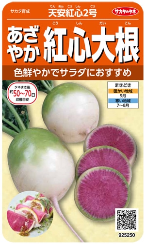 サカタのタネ 中国大根種子 天安紅心2号【取り寄せ注文】＊秋のみ商品＊種子有効期限2026年5月末
