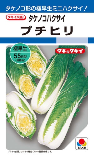 タキイ種苗 ハクサイ種子 プチヒリ DF小袋(1.8ml)[AHA00M]【取り寄せ