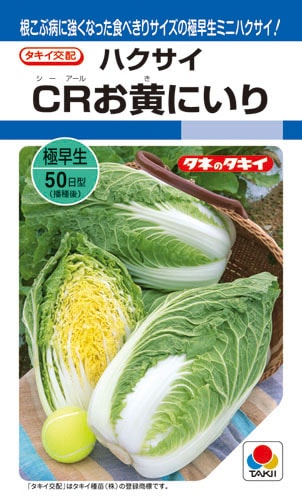 タキイ種苗 ハクサイ種子 CRお黄にいり[AHA05N]【取り寄せ注文】＊種子有効期限2026年4月末