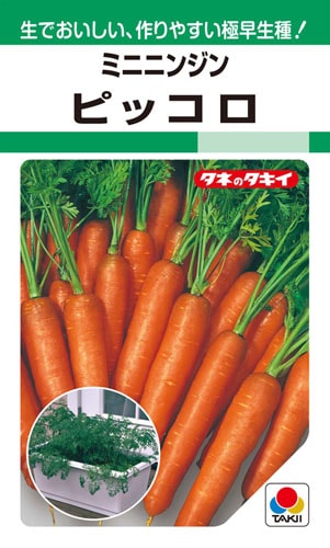 タキイ種苗　ニンジン種子　ピッコロ[ACH181]【取り寄せ注文】＊種子有効期限2024年10月末