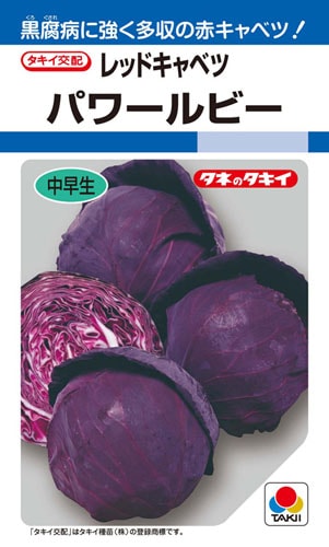 タキイ種苗 キャベツ種子 パワールビー[ACA01M]【取り寄せ注文】＊種子有効期限2026年2月末